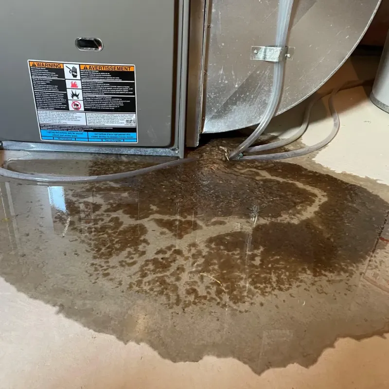 Appliance Leak Cleanup in Cornelius, OR