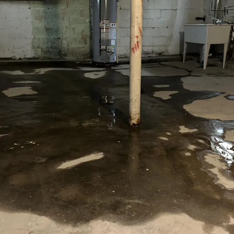 Emergency Water Extraction And Removal in Cornelius, OR
